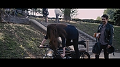 theadderalldiaries02021.jpg