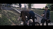 theadderalldiaries02022.jpg