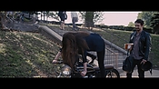 theadderalldiaries02026.jpg