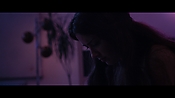 theadderalldiaries15180.jpg
