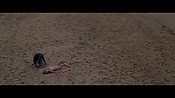 Filename=theinformers09820.jpg
Filesize=548KiB
Dimensions=1920x1080
Date added=Apr 19, 2021 theinformers09820.jpg