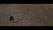 Filename=theinformers09826.jpg
Filesize=552KiB
Dimensions=1920x1080
Date added=Apr 19, 2021 theinformers09826.jpg