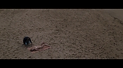 Filename=theinformers09827.jpg
Filesize=551KiB
Dimensions=1920x1080
Date added=Apr 19, 2021 theinformers09827.jpg