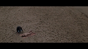 Filename=theinformers09828.jpg
Filesize=571KiB
Dimensions=1920x1080
Date added=Apr 19, 2021 theinformers09828.jpg