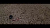 Filename=theinformers09829.jpg
Filesize=548KiB
Dimensions=1920x1080
Date added=Apr 19, 2021 theinformers09829.jpg