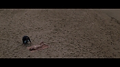 Filename=theinformers09833.jpg
Filesize=549KiB
Dimensions=1920x1080
Date added=Apr 19, 2021 theinformers09833.jpg