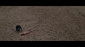 Filename=theinformers09834.jpg
Filesize=578KiB
Dimensions=1920x1080
Date added=Apr 19, 2021 theinformers09834.jpg