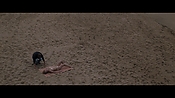 Filename=theinformers09836.jpg
Filesize=545KiB
Dimensions=1920x1080
Date added=Apr 19, 2021 theinformers09836.jpg