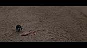Filename=theinformers09839.jpg
Filesize=549KiB
Dimensions=1920x1080
Date added=Apr 19, 2021 theinformers09839.jpg