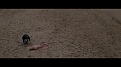 Filename=theinformers09840.jpg
Filesize=558KiB
Dimensions=1920x1080
Date added=Apr 19, 2021 theinformers09840.jpg