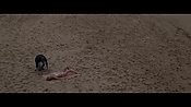 Filename=theinformers09841.jpg
Filesize=523KiB
Dimensions=1920x1080
Date added=Apr 19, 2021 theinformers09841.jpg