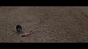 Filename=theinformers09842.jpg
Filesize=504KiB
Dimensions=1920x1080
Date added=Apr 19, 2021 theinformers09842.jpg
