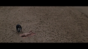Filename=theinformers09844.jpg
Filesize=499KiB
Dimensions=1920x1080
Date added=Apr 19, 2021 theinformers09844.jpg
