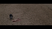 Filename=theinformers09847.jpg
Filesize=518KiB
Dimensions=1920x1080
Date added=Apr 19, 2021 theinformers09847.jpg