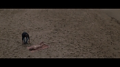 Filename=theinformers09849.jpg
Filesize=551KiB
Dimensions=1920x1080
Date added=Apr 19, 2021 theinformers09849.jpg