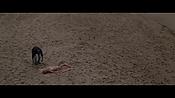 Filename=theinformers09850.jpg
Filesize=547KiB
Dimensions=1920x1080
Date added=Apr 19, 2021 theinformers09850.jpg