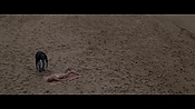 Filename=theinformers09851.jpg
Filesize=539KiB
Dimensions=1920x1080
Date added=Apr 19, 2021 theinformers09851.jpg