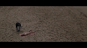 Filename=theinformers09852.jpg
Filesize=558KiB
Dimensions=1920x1080
Date added=Apr 19, 2021 theinformers09852.jpg