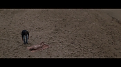 Filename=theinformers09857.jpg
Filesize=552KiB
Dimensions=1920x1080
Date added=Apr 19, 2021 theinformers09857.jpg