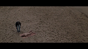 Filename=theinformers09860.jpg
Filesize=531KiB
Dimensions=1920x1080
Date added=Apr 19, 2021 theinformers09860.jpg
