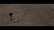 Filename=theinformers09864.jpg
Filesize=517KiB
Dimensions=1920x1080
Date added=Apr 19, 2021 theinformers09864.jpg
