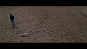 Filename=theinformers10077.jpg
Filesize=566KiB
Dimensions=1920x1080
Date added=Apr 19, 2021 theinformers10077.jpg