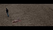 Filename=theinformers10079.jpg
Filesize=543KiB
Dimensions=1920x1080
Date added=Apr 19, 2021 theinformers10079.jpg