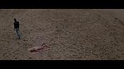 Filename=theinformers10080.jpg
Filesize=563KiB
Dimensions=1920x1080
Date added=Apr 19, 2021 theinformers10080.jpg
