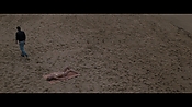 Filename=theinformers10095.jpg
Filesize=467KiB
Dimensions=1920x1080
Date added=Apr 19, 2021 theinformers10095.jpg