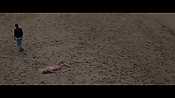 Filename=theinformers10097.jpg
Filesize=497KiB
Dimensions=1920x1080
Date added=Apr 19, 2021 theinformers10097.jpg