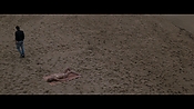 Filename=theinformers10101.jpg
Filesize=534KiB
Dimensions=1920x1080
Date added=Apr 19, 2021 theinformers10101.jpg