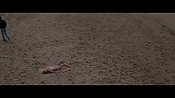 Filename=theinformers10158.jpg
Filesize=537KiB
Dimensions=1920x1080
Date added=Apr 19, 2021 theinformers10158.jpg