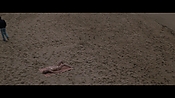 Filename=theinformers10159.jpg
Filesize=511KiB
Dimensions=1920x1080
Date added=Apr 19, 2021 theinformers10159.jpg