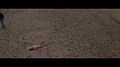 Filename=theinformers10161.jpg
Filesize=512KiB
Dimensions=1920x1080
Date added=Apr 19, 2021 theinformers10161.jpg