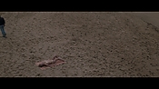 Filename=theinformers10162.jpg
Filesize=499KiB
Dimensions=1920x1080
Date added=Apr 19, 2021 theinformers10162.jpg
