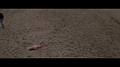 Filename=theinformers10163.jpg
Filesize=502KiB
Dimensions=1920x1080
Date added=Apr 19, 2021 theinformers10163.jpg