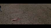 Filename=theinformers10170.jpg
Filesize=567KiB
Dimensions=1920x1080
Date added=Apr 19, 2021 theinformers10170.jpg