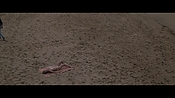 Filename=theinformers10173.jpg
Filesize=565KiB
Dimensions=1920x1080
Date added=Apr 19, 2021 theinformers10173.jpg