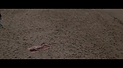 Filename=theinformers10175.jpg
Filesize=542KiB
Dimensions=1920x1080
Date added=Apr 19, 2021 theinformers10175.jpg