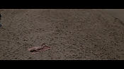 Filename=theinformers10176.jpg
Filesize=564KiB
Dimensions=1920x1080
Date added=Apr 19, 2021 theinformers10176.jpg