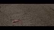 Filename=theinformers10177.jpg
Filesize=546KiB
Dimensions=1920x1080
Date added=Apr 19, 2021 theinformers10177.jpg
