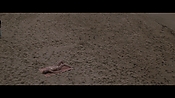 Filename=theinformers10178.jpg
Filesize=539KiB
Dimensions=1920x1080
Date added=Apr 19, 2021 theinformers10178.jpg