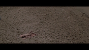 Filename=theinformers10180.jpg
Filesize=545KiB
Dimensions=1920x1080
Date added=Apr 19, 2021 theinformers10180.jpg