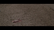 Filename=theinformers10184.jpg
Filesize=541KiB
Dimensions=1920x1080
Date added=Apr 19, 2021 theinformers10184.jpg