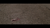 Filename=theinformers10186.jpg
Filesize=547KiB
Dimensions=1920x1080
Date added=Apr 19, 2021 theinformers10186.jpg