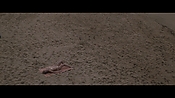 Filename=theinformers10187.jpg
Filesize=542KiB
Dimensions=1920x1080
Date added=Apr 19, 2021 theinformers10187.jpg