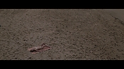 Filename=theinformers10188.jpg
Filesize=564KiB
Dimensions=1920x1080
Date added=Apr 19, 2021 theinformers10188.jpg