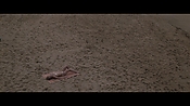 Filename=theinformers10189.jpg
Filesize=534KiB
Dimensions=1920x1080
Date added=Apr 19, 2021 theinformers10189.jpg