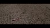 Filename=theinformers10192.jpg
Filesize=502KiB
Dimensions=1920x1080
Date added=Apr 19, 2021 theinformers10192.jpg