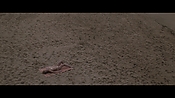 Filename=theinformers10195.jpg
Filesize=482KiB
Dimensions=1920x1080
Date added=Apr 19, 2021 theinformers10195.jpg